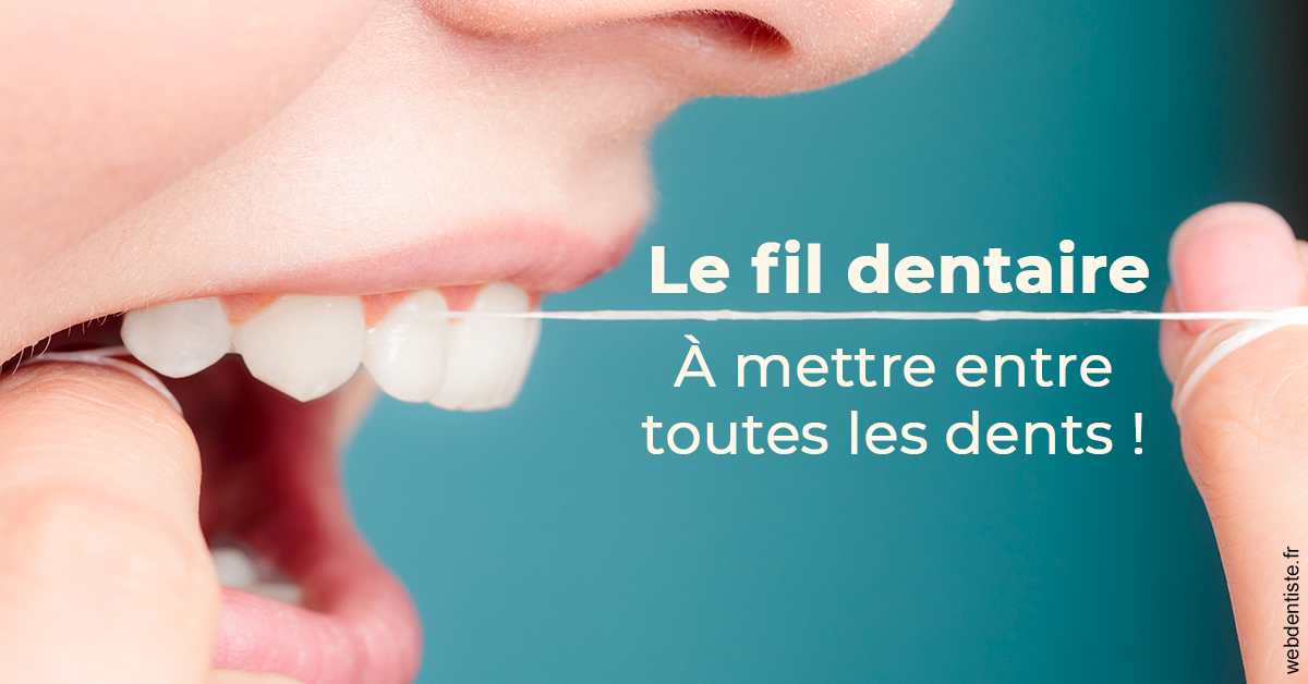 https://dr-meyer-eric.chirurgiens-dentistes.fr/Le fil dentaire 2