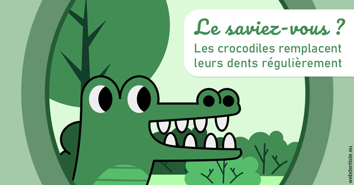 https://dr-meyer-eric.chirurgiens-dentistes.fr/Crocodiles 2